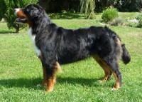 /album/fotogalerie/annie-lina-jpg/